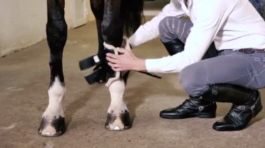 adam istikrarlı ata binmek hazırlanıyor