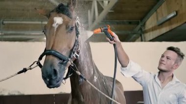 adam temiz ile güzel at su