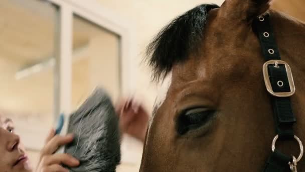 Joven hombre cepillado caballo — Vídeos de Stock