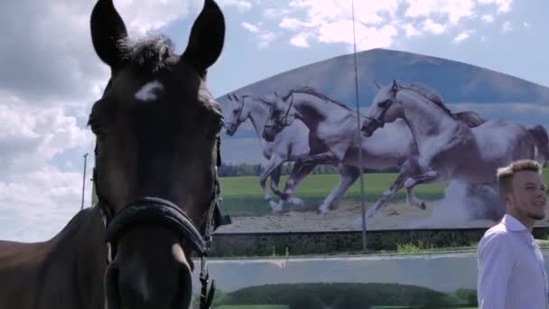 Man lopen met paard op weg — Stockvideo