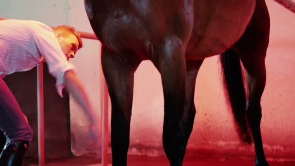 Homem com cavalo no estábulo iluminado vermelho — Vídeo de Stock