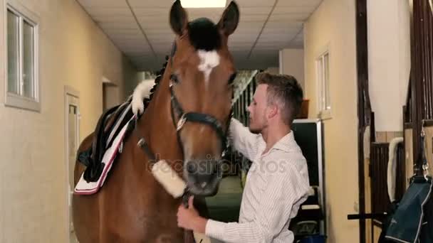 Man preparing to ride Horse in stable — Stock Video