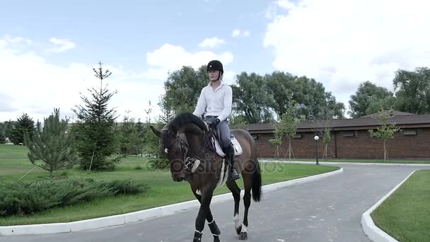 Человек катается на красивой коричневой лошади — стоковое видео
