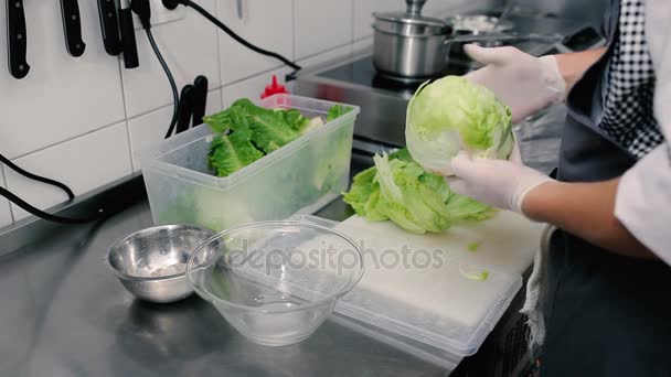 Close-up de mãos salada de cozinha — Vídeo de Stock