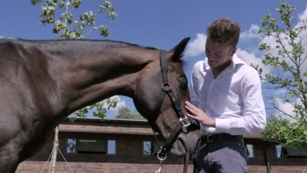 Mann streichelt schönes Pferd — Stockvideo