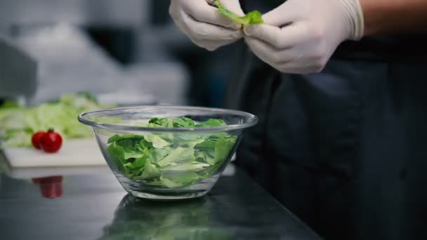 Erkek pişirme salata eller — Stok video