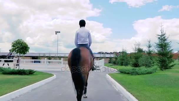 Ember lovagolni gyönyörű lovas úton — Stock videók