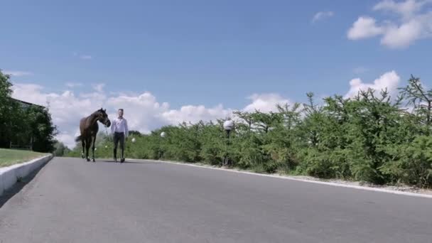 人走在路的马 — 图库视频影像