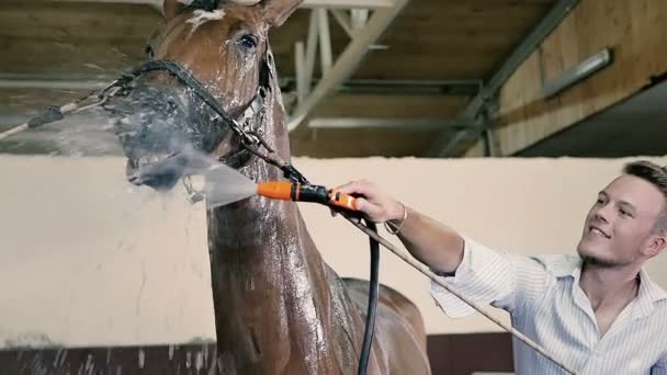 Hombre limpio con agua hermoso caballo — Vídeos de Stock