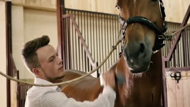 Joven hombre cepillado caballo — Vídeos de Stock