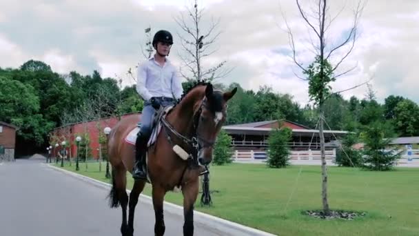 Человек ездит на красивой лошади по дороге — стоковое видео