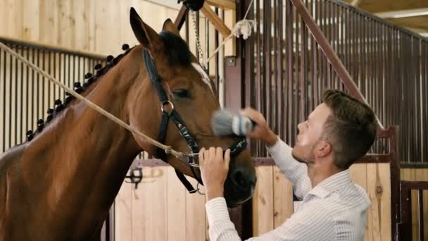 Człowiek, szczotkowanie konia w stajni — Wideo stockowe