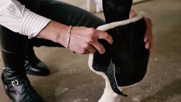 Homme se préparant à monter à cheval dans l'écurie — Video