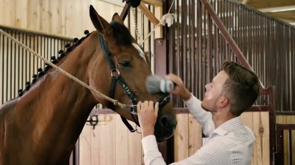 Joven hombre cepillado caballo — Vídeo de stock