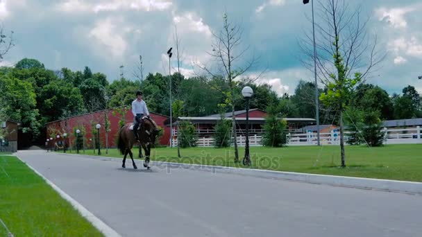 Ember lovagolni gyönyörű lovas úton — Stock videók