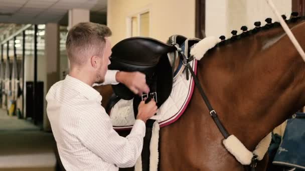 Homem com cavalo no estábulo — Vídeo de Stock