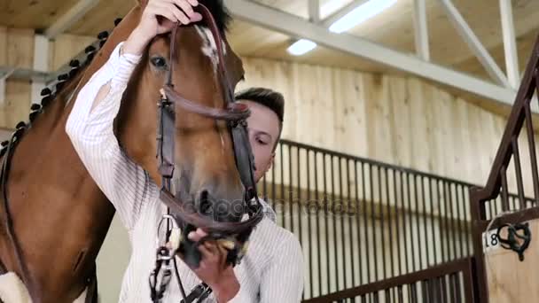 Man preparing to ride Horse in stable — Stock Video