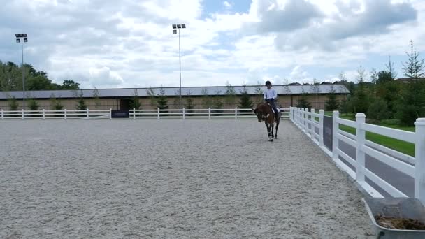 Hombre paseo hermoso marrón caballo — Vídeos de Stock