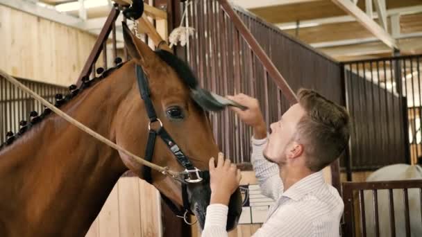 Człowiek, szczotkowanie pięknego konia — Wideo stockowe