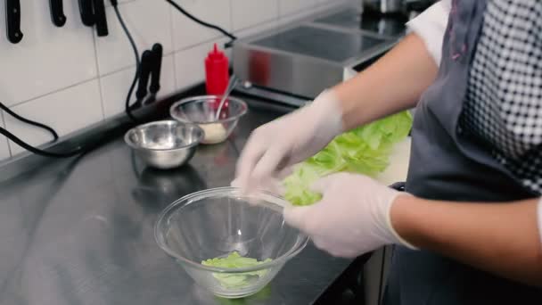 Close-up de mãos salada de cozinha — Vídeo de Stock