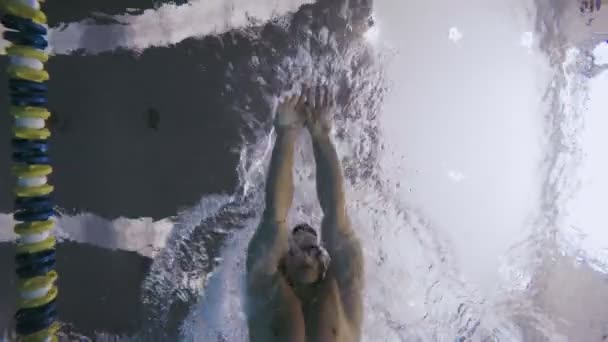 Man in goggles swimming in pool. — Stock Video