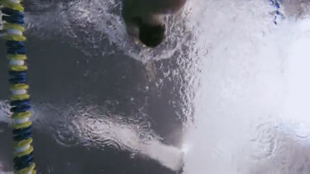 Hombre natación estilo espalda — Vídeos de Stock