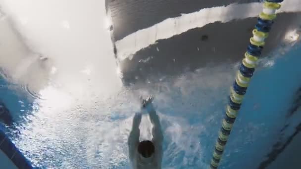 Hombre nadando Mariposa accidente cerebrovascular en piscina . — Vídeos de Stock