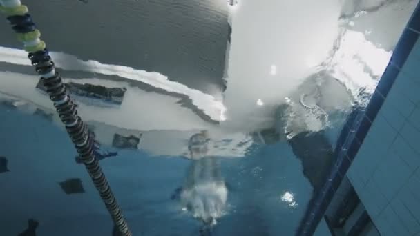 Homem muscular mergulho na piscina . — Vídeo de Stock