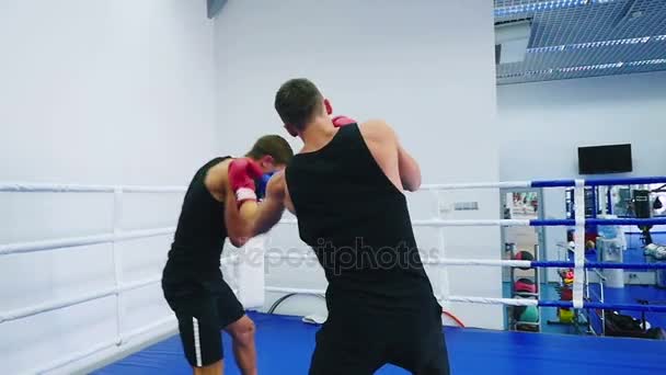 Männer boxen im Fitnessstudio — Stockvideo