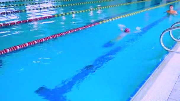 Padre enseñanza chica natación — Vídeo de stock
