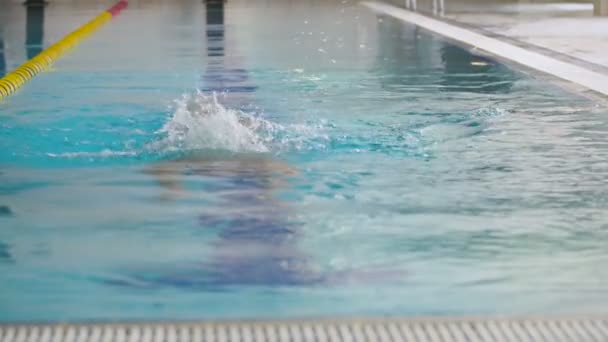 A medencében úszó fiatalember. — Stock videók
