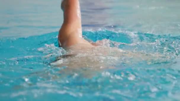 Jongeman zwemmen in het zwembad. — Stockvideo