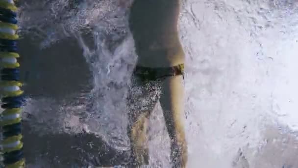 Man swimming Front crawl style — Stock Video