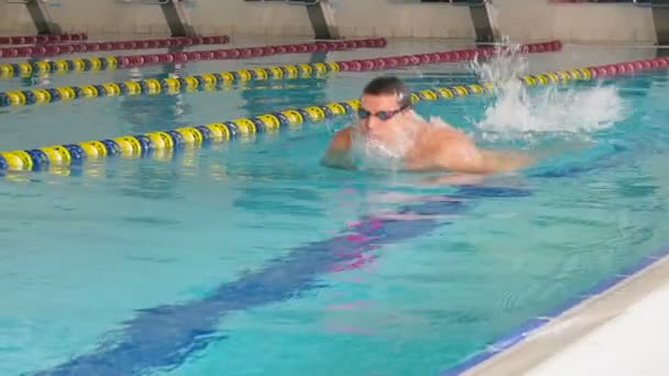 Giovane uomo nuoto in piscina . — Video Stock