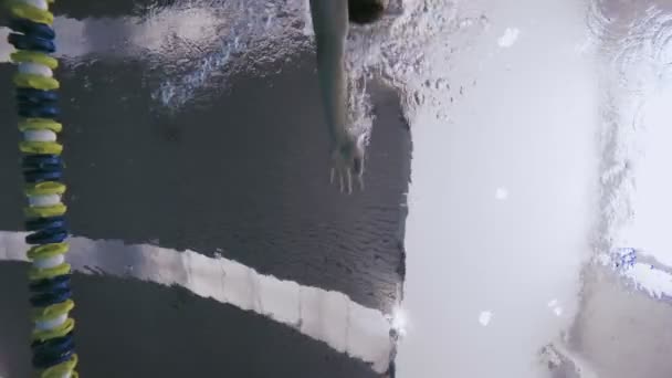Man swimming Front crawl style — Stock Video