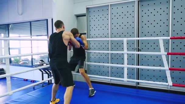 Hommes boxe dans la salle de gym — Video