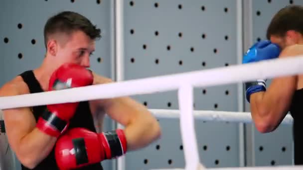 Hommes s'entraînant au ring de boxe — Video