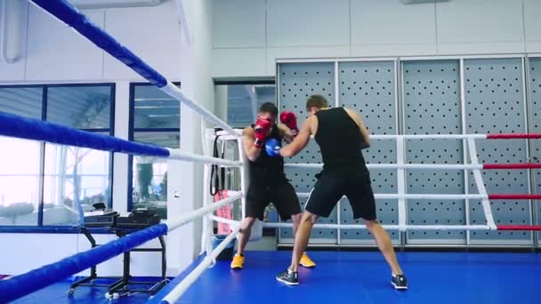 Men fighting at boxing ring — Stock Video