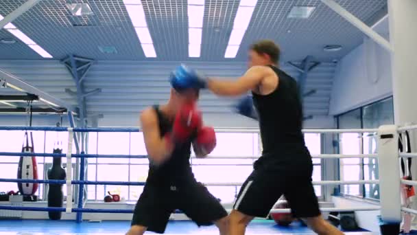 Männer beim Training im Boxring — Stockvideo