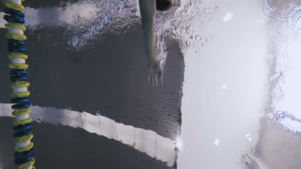 Homme natation Front crawl style — Video