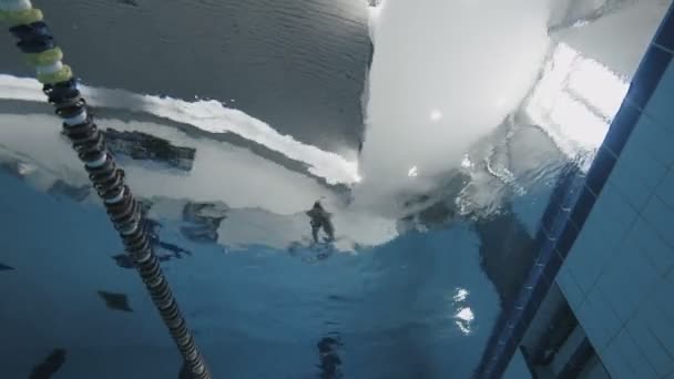 Hombre deportivo buceo en la piscina . — Vídeo de stock