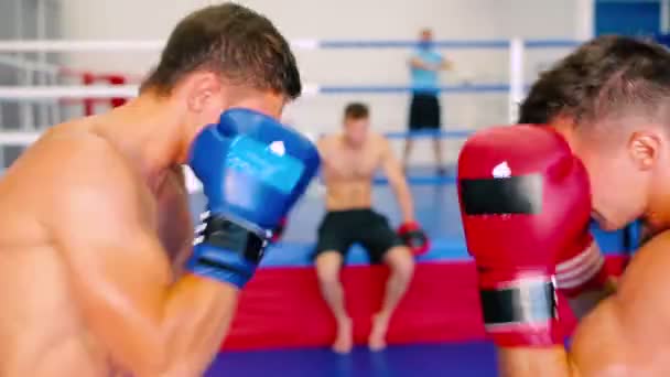 Sportliche Männer beim Training im Fitnessstudio — Stockvideo