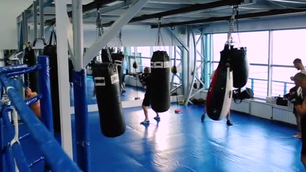 Les hommes sportifs s'entraînent à la salle de gym — Video
