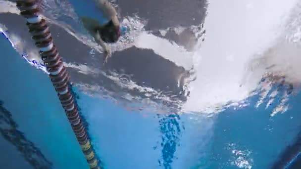 Niña en la piscina. — Vídeo de stock