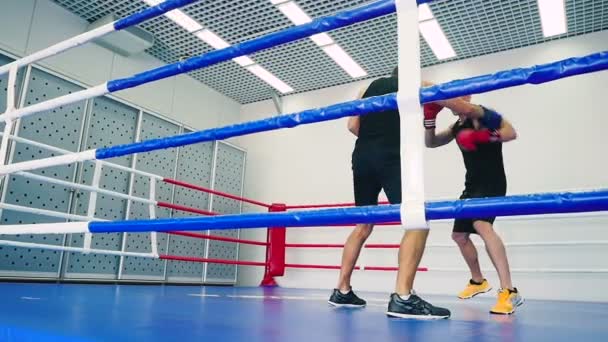 Jeunes hommes s'entraînant au ring de boxe — Video