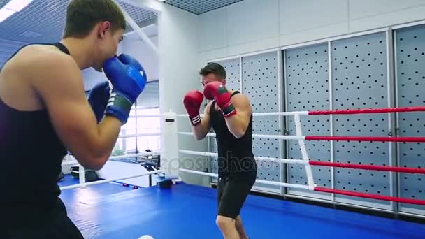 ボクシングのリングでの戦いの若い男性 — ストック動画