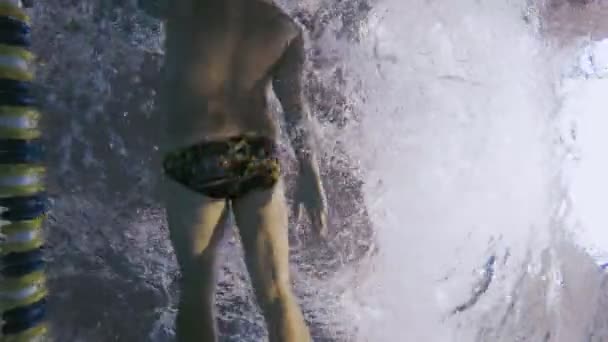Człowiek w stylu grzbietowym pływania w basenie. — Wideo stockowe