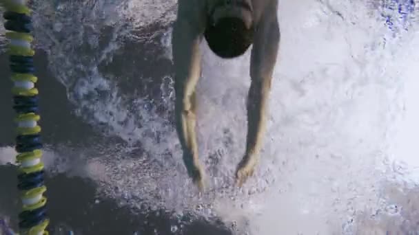 Hombre nadando Estilo de golpe de pecho en la piscina . — Vídeos de Stock