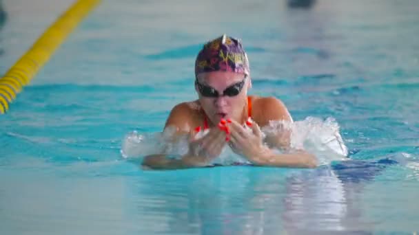 Woman swimming in pool. — Stock Video