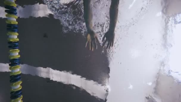 homme sportif nageant Style brasse 